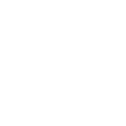 The Luxe Collective